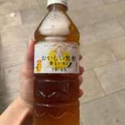 ヒメ日記 2025/09/19 05:53 投稿 海川 さな プルプルハウス