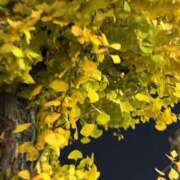 ヒメ日記 2025/11/25 22:32 投稿 海川 さな プルプルハウス