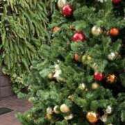 ヒメ日記 2025/12/25 22:35 投稿 海川 さな プルプルハウス