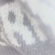 ヒメ日記 2025/10/22 14:03 投稿 ゆめり モアグループ小山人妻花壇