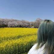 ゆめり お花見してきたよ🍡*⋆🍺*⋆🌸 モアグループ小山人妻花壇