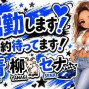 青柳　せな 8/16出勤20:00〜 未熟な人妻
