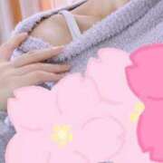 ヒメ日記 2026/04/03 16:56 投稿 つきか やMAT撫子