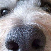 きら 風邪に気をつけてね😷 ハピネス東京