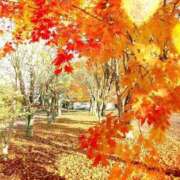 ヒメ日記 2025/09/26 12:30 投稿 優里【ユリ】 輝女