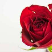 ヒメ日記 2025/11/20 11:45 投稿 優里【ユリ】 輝女