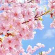 ヒメ日記 2026/02/24 13:15 投稿 優里【ユリ】 輝女