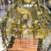 ヒメ日記 2026/03/03 10:00 投稿 優里【ユリ】 輝女