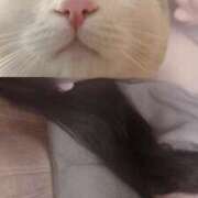 ヒメ日記 2025/09/24 13:26 投稿 あかね セレブクエスト-Nishikawa-