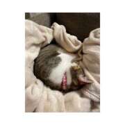 ヒメ日記 2025/09/22 09:13 投稿 まな 君とふわふわプリンセスin熊谷