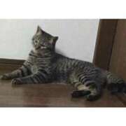 ヒメ日記 2025/10/01 09:06 投稿 まな 君とふわふわプリンセスin熊谷