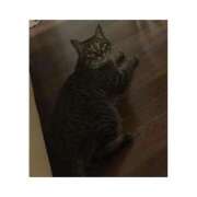 ヒメ日記 2025/10/17 09:05 投稿 まな 君とふわふわプリンセスin熊谷