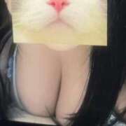 ヒメ日記 2025/11/29 12:48 投稿 まな 君とふわふわプリンセスin熊谷