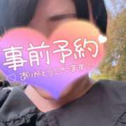 ヒメ日記 2026/03/28 17:50 投稿 しゅう 丸妻 横浜本店