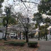 ヒメ日記 2026/03/29 09:11 投稿 しゅう 丸妻 横浜本店