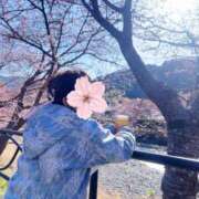 みな ありがとっ🐰 新宿プチドール