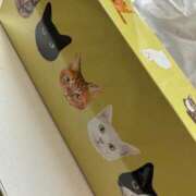 ヒメ日記 2026/03/08 07:55 投稿 しゅう エデンR