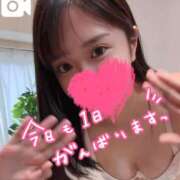 ヒメ日記 2025/11/06 06:48 投稿 佐倉くるみ ウルトラロイヤル