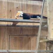 ヒメ日記 2025/10/18 00:17 投稿 しゅか ダイスキ