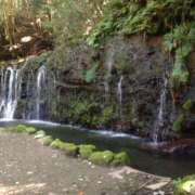 ヒメ日記 2025/10/11 08:23 投稿 きみか ～優しい若妻倶楽部～Mrs.女神