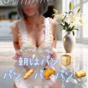 ヒメ日記 2025/10/19 08:00 投稿 きみか ～優しい若妻倶楽部～Mrs.女神