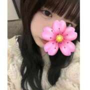 ヒメ日記 2025/10/14 21:59 投稿 ゆら 東京メンズボディクリニック TMBC 池袋店