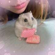 ヒメ日記 2025/10/22 15:15 投稿 るな 僕のぽっちゃり伝説