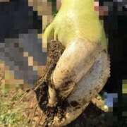 ヒメ日記 2026/03/23 12:25 投稿 るな 僕のぽっちゃり伝説