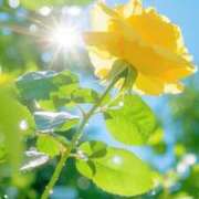 ヒメ日記 2025/10/05 16:07 投稿 長浜 ふうか Canx2京都店