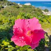 長浜 ふうか 今日風強すぎ〜〜〜💨💨💨 Canx2京都店