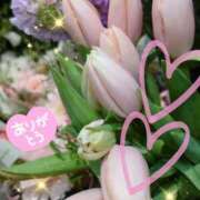 ヒメ日記 2026/01/16 05:33 投稿 せりな 熟女の風俗最終章 八王子店