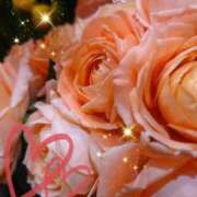 ヒメ日記 2026/02/16 07:13 投稿 せりな 熟女の風俗最終章 八王子店