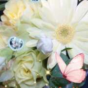 ヒメ日記 2026/01/18 06:30 投稿 せりな 熟女の風俗最終章 国分寺店