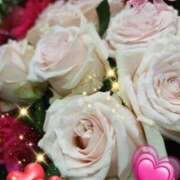 ヒメ日記 2026/01/24 07:23 投稿 せりな 熟女の風俗最終章 立川店