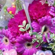 ヒメ日記 2026/01/25 05:24 投稿 せりな 熟女の風俗最終章 立川店