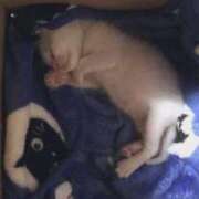 ヒメ日記 2025/10/31 11:41 投稿 あすか 熊谷人妻城