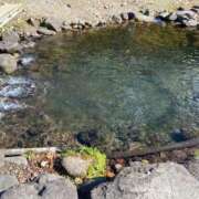 ヒメ日記 2025/11/01 23:06 投稿 あすか 熊谷人妻城