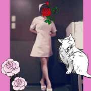 ヒメ日記 2025/10/25 10:45 投稿 わこ 熟女の風俗最終章 錦糸町店