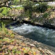 ヒメ日記 2025/10/06 17:51 投稿 さら セクシーキャット 小田原店