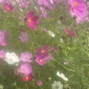 ヒメ日記 2025/10/14 20:25 投稿 まり New Sky