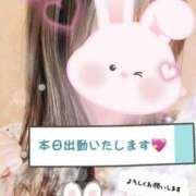 ヒメ日記 2025/10/25 11:19 投稿 もこ 横浜人妻セレブリティ（ユメオト）