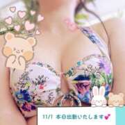 ヒメ日記 2025/11/01 11:19 投稿 もこ 横浜人妻セレブリティ（ユメオト）