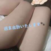 もこ 🐈御礼と6月の出勤予定🐾 横浜人妻セレブリティ（ユメオト）