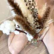 えりか 楽しい1日だったなぁ🤗🩷 しろうさぎ