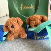 ヒメ日記 2026/02/06 14:13 投稿 えりか しろうさぎ