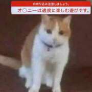 ヒメ日記 2026/08/27 02:02 投稿 やよい モアグループ丸妻厚木店