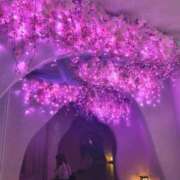 ヒメ日記 2026/04/18 23:09 投稿 あき G-SCANDAL