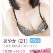 ヒメ日記 2025/10/21 01:19 投稿 あやか ビギナーズ神戸