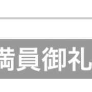つき お疲れ様です🍵 シェリーエンジェル
