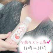 ヒメ日記 2025/10/02 14:42 投稿 ちふゆ 愛姫～ラブひめ～